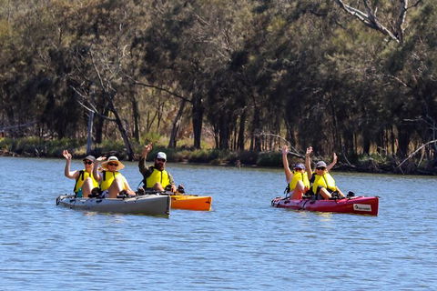 Private Guided River Kayak Tour - Sunshine Coast Guide 0