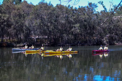Private Guided River Kayak Tour - Sunshine Coast Guide 5