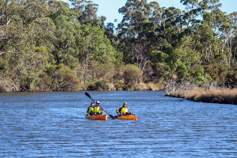 Private Guided River Kayak Tour - Sunshine Coast Guide 7