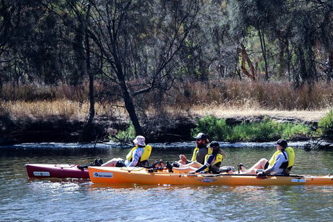 Private Guided River Kayak Tour - Sunshine Coast Guide 3