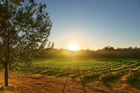Private Barrel Hall Wine Tasting In The Margaret River Region - Sunshine Coast Guide 3