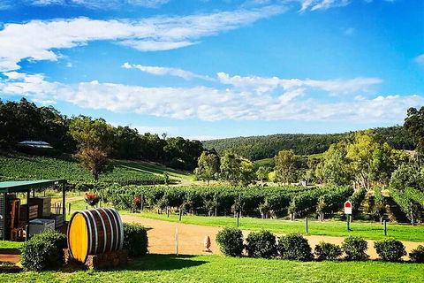 Bickley Valley Wine & Cider Tour - Premium Small Group Tour - Sunshine Coast Guide 0