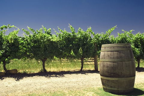 Pinnacles Desert Private Tour - Sunshine Coast Guide 4