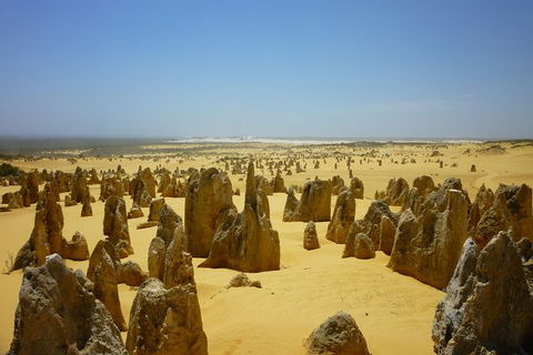Pinnacles Desert Private Tour - Sunshine Coast Guide 5