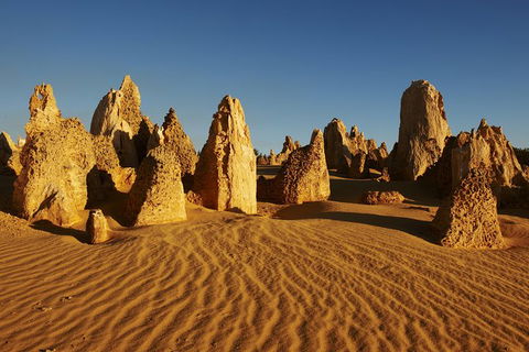 Pinnacles Desert Private Tour - Sunshine Coast Guide 0