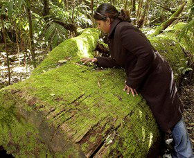  Sunshine Coast Guide