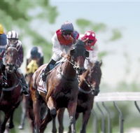 Colac Turf Club - Sunshine Coast Guide