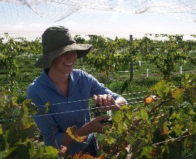 Kingsdale Wines - Sunshine Coast Guide 0