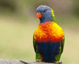 Booderee National Park - Sunshine Coast Guide 1