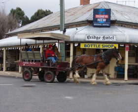  Sunshine Coast Guide
