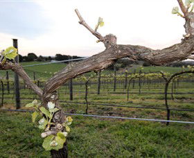Drysdale VIC Sunshine Coast Guide