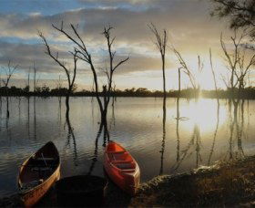 Boshack Outback - Sunshine Coast Guide 0