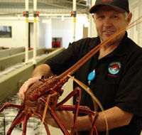 Lobster Shack - Sunshine Coast Guide