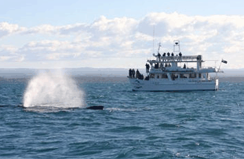Huskisson NSW Sunshine Coast Guide