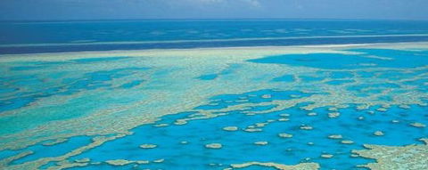 Aristocat Snorkel And Scuba Port Douglas - Sunshine Coast Guide 3