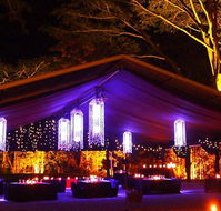 Flames Of The Forest - Sunshine Coast Guide