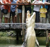 Hartley's Crocodile Adventures - Sunshine Coast Guide