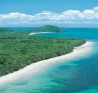 Reef and Rainforest Connections - Sunshine Coast Guide