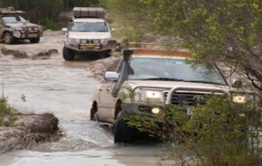 Tagalong Tours Of Australia - Sunshine Coast Guide 0