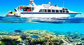 Reef Jet Cruises - Sunshine Coast Guide 2