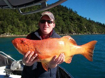 Gone Fishing By Coral Sea Fishing Charters Airlie Beach - Sunshine Coast Guide 0
