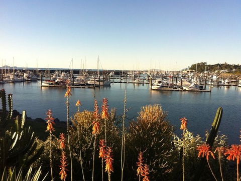 Mantaray Charters - Sunshine Coast Guide 0