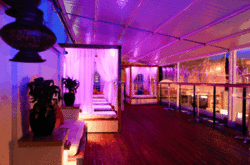 Circus Bar  Night Club - Sunshine Coast Guide