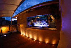 Circus Bar & Night Club - Sunshine Coast Guide 1