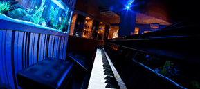 Saks Restaurant & Bar - Sunshine Coast Guide 2