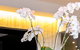 MRepublic Restaurant, Bar And Lounge - thumb 4