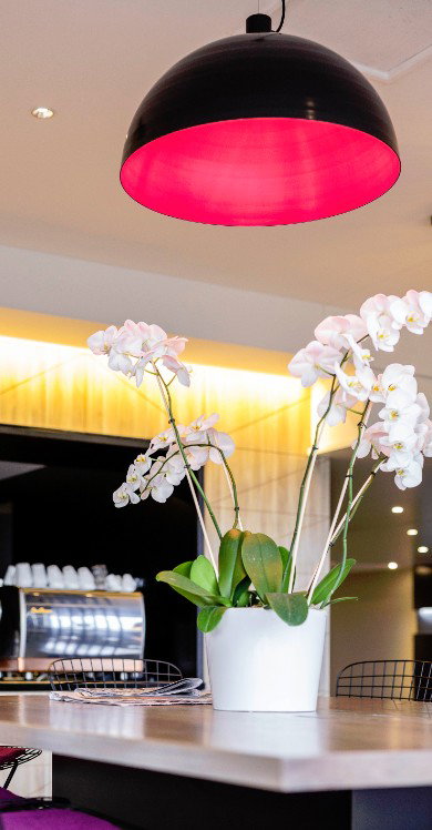 MRepublic Restaurant, Bar And Lounge - Sunshine Coast Guide 4