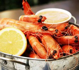 Full Moon Hotel - Moonlight Dining - Sunshine Coast Guide 0