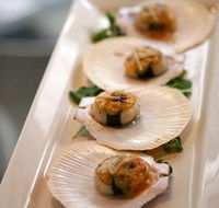 The Point Restaurant  Bar - Sunshine Coast Guide