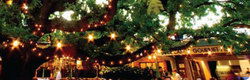 Neutral Bay NSW Sunshine Coast Guide