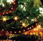 The Oaks - Sunshine Coast Guide