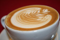 Greenwood Hotel - Sunshine Coast Guide 0