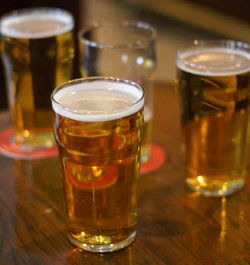 Rock Inne Tavern - Sunshine Coast Guide 2