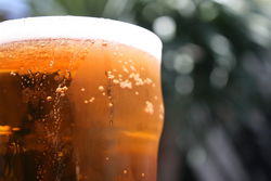 Greenwood Hotel - Sunshine Coast Guide 2