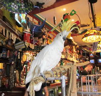 A Friend In Hand - Sunshine Coast Guide