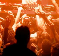 Academy Club - Sunshine Coast Guide