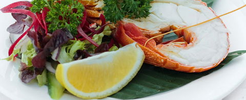 Crustaceans On The Wharf - Sunshine Coast Guide 1