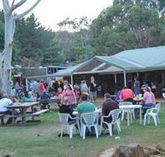 Bush Shack Brewery - Sunshine Coast Guide