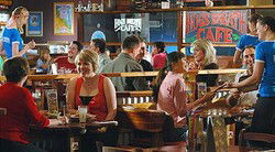 Hogs Breath - Rockingham - Sunshine Coast Guide 0
