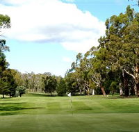Cooma Golf Club - Sunshine Coast Guide