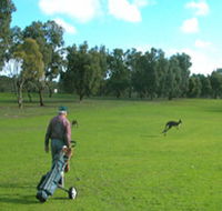 Coffin Bay Golf Club - Sunshine Coast Guide