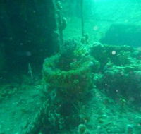 Wallaroo Scuba Club - Sunshine Coast Guide