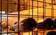 The Hideout - thumb 1