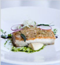 PJ's Irish Sports Bar & Bistro @ The Criterion Hotel - Sunshine Coast Guide 0