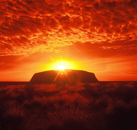Annie's Place - Sunshine Coast Guide