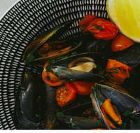 The Italian Diner - Sunshine Coast Guide